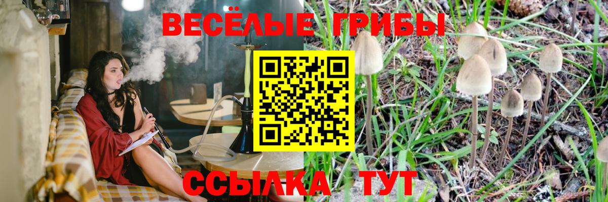 Псилоцибиновые грибы прущие грибы Кимры