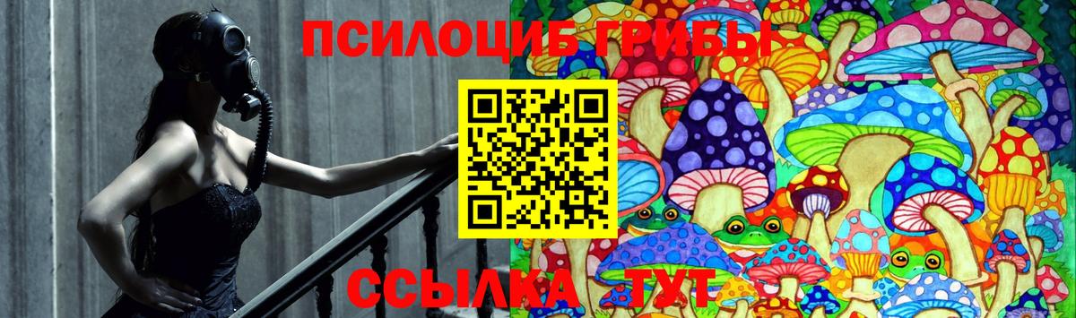 Кимры  Галлюциногенные грибы GOLDEN TEACHER  Вход с VPN  Галлюциногенные грибы Psilocybe 